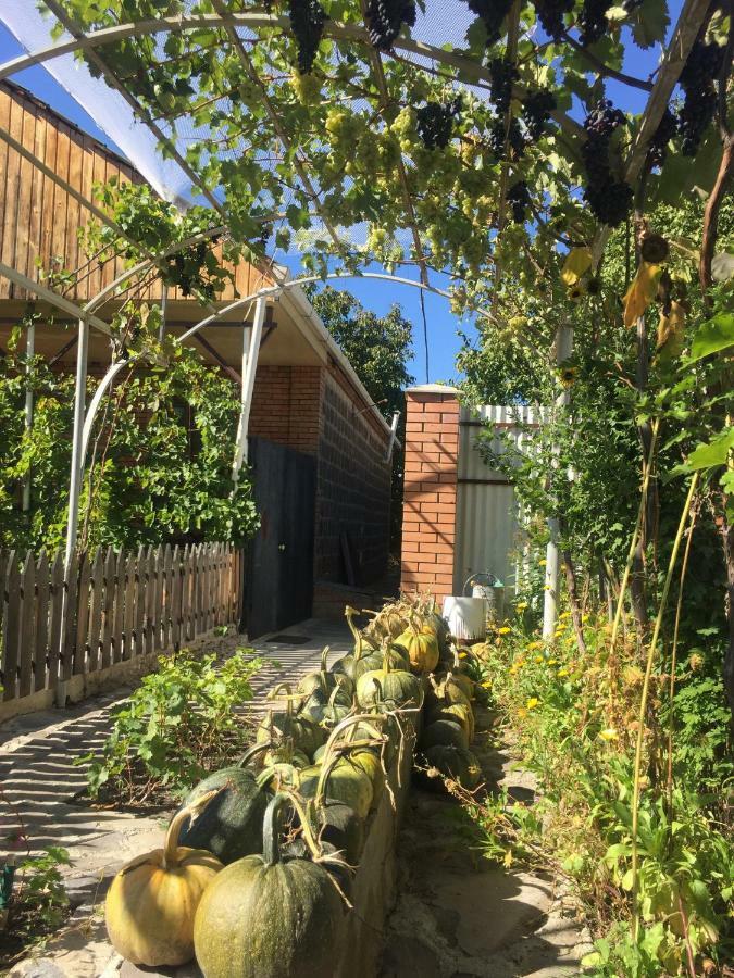 Oasis Apartment Aspindza Bagian luar foto